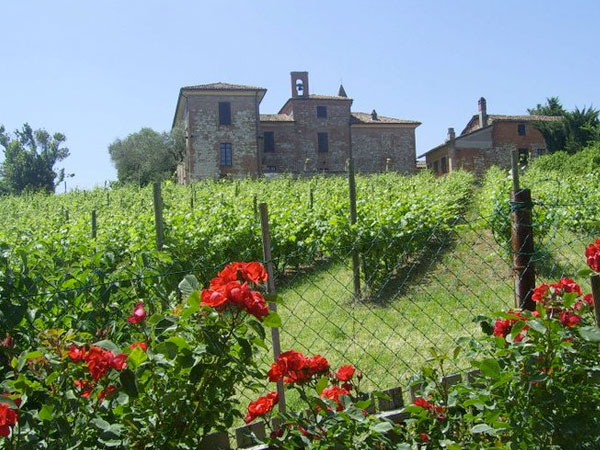 The Vineyards of Torre Fornello