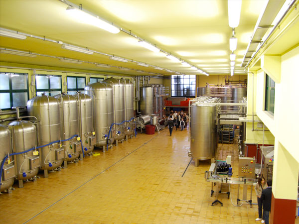 Torre Fornello’s Winery