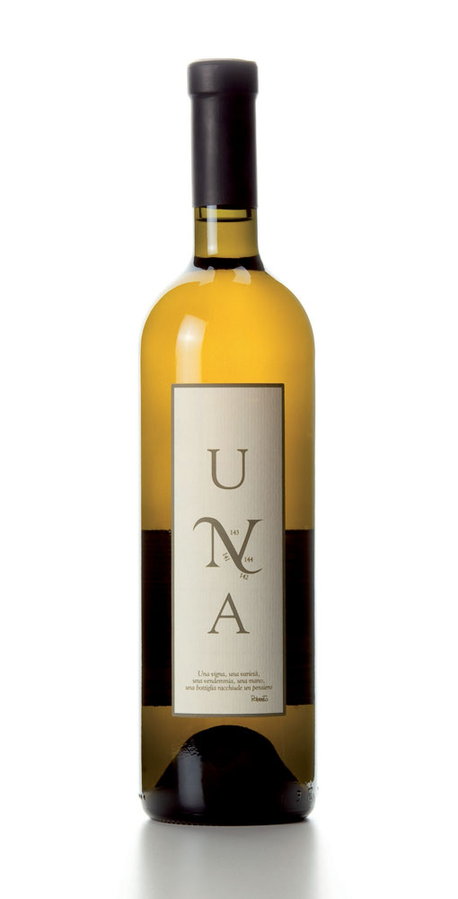 Una, Torre Fornello's organic wine | Malvasia D.O.C. Colli Piacentini - Orange Wine