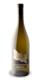 Chardonnay, i vini bianchi frizzanti di Torre Fornello | Frizzante D.O.C. Colli Piacentini