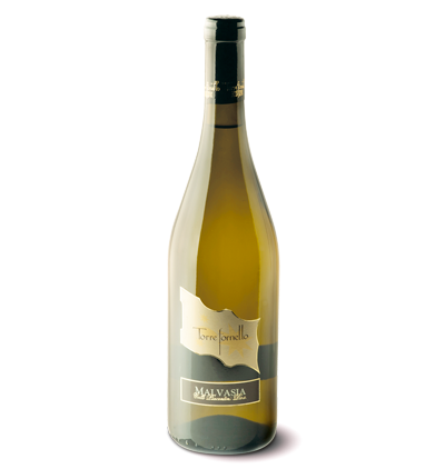 Malvasia, i vini bianchi frizzanti di Torre Fornello | Frizzante D.O.C. Colli Piacentini
